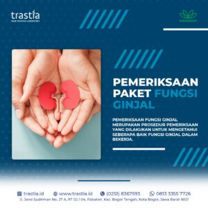 Medical Check Up Fungsi Ginjal
